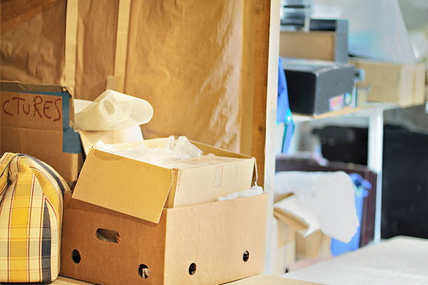 Best Dumpster Rental Services  in Pine Knoll Shores, NC